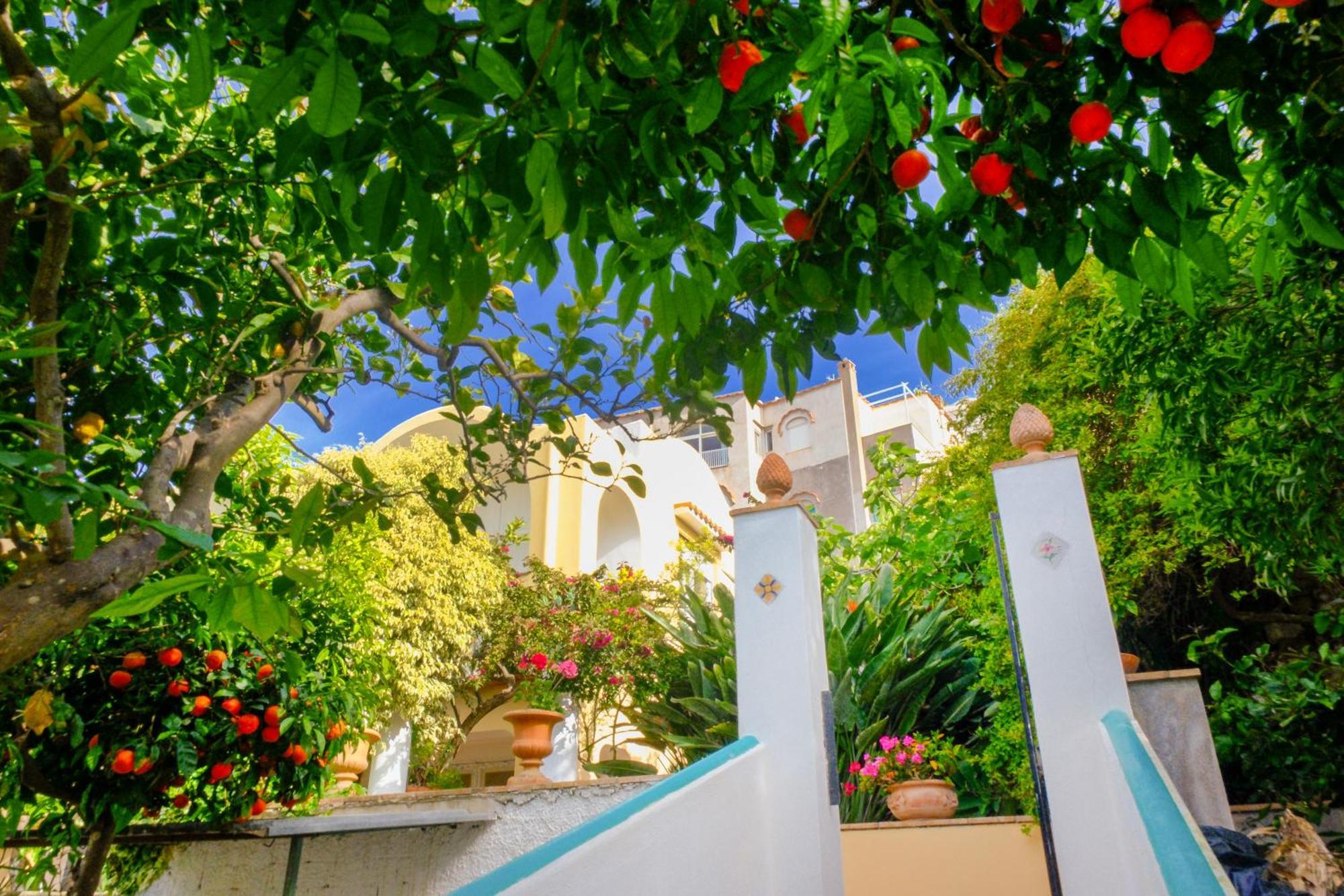 Villa Dorothee Capri Exterior foto