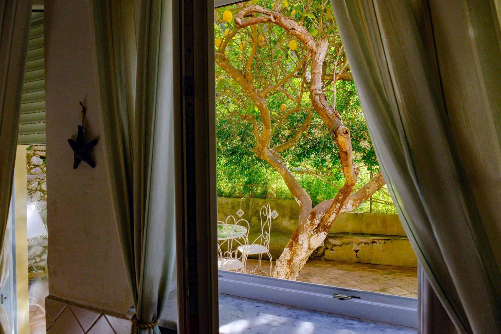 Villa Dorothee Capri Cameră foto